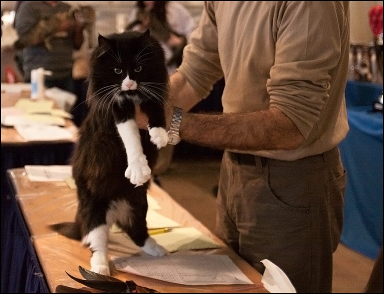 Inconnu 9.jpg - Inconnu